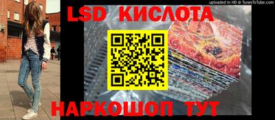 эйфоретик Славгород