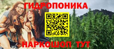 эйфоретик Славгород