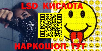 гидропоника Сланцы