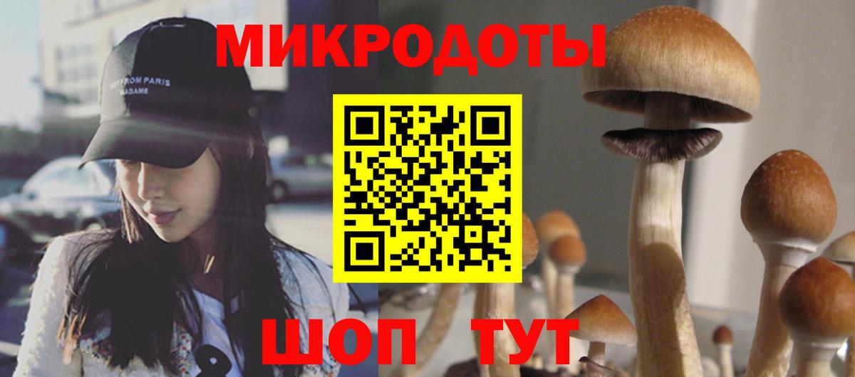 Галлюциногенные грибы Magic Shrooms Выкса